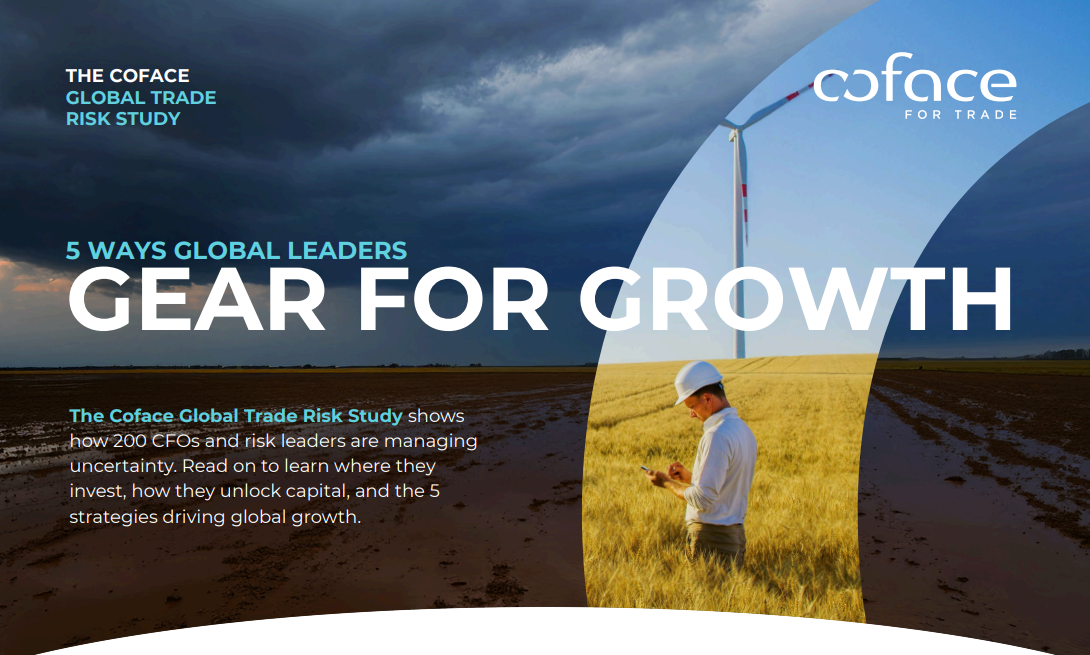 5-ways-global-leaders-gear-for-growth
