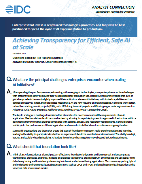 IDC analyst connection Achieving Transparency for Efficient, Safe AI at Scale